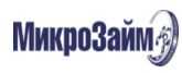 МикроЗайм